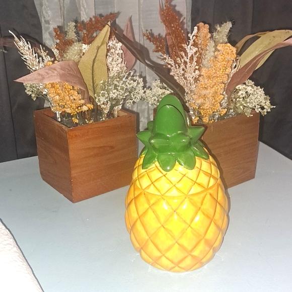 Ceramic Pinapple - Picture 1 of 5